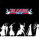 Bleach:  The Rising World