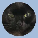 Lunar Fears's server