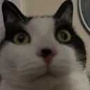 キリトの巣窟's icon