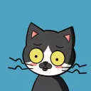 Confused Cats Kingdom