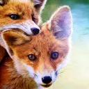🦊Fuchs Gang🦊