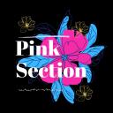 Pink Section Discord Server Icon