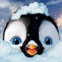 ᴘᴇɴɢᴜɪɴ ᴘʜᴏᴛᴏ 🐧