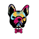 Frenchie Universe NFT