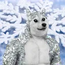 Doge VIP Club