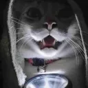nubai's discord kitten server