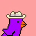 Cozy Crypto Birds