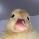Vonz