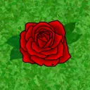 The Rose Bush