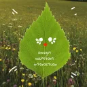 𝘢𝘮𝘪𝘨𝘰𝘴 𝘳𝘰𝘤𝘬𝘴𝘵𝘢𝘳�... Discord Server Icon