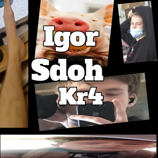 🦍 МАХАЧКАЛА 🦍 ⚡⚡Волиняни⚡⚡ squad 🦍 — мониторинг Discord сервера, статистика и рейтинг