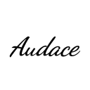 Audace&amp;reg;: Progetto Automobili Server Icon