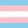World of Trans Women