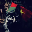 Old Cat's Longue