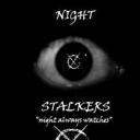 NIGHTSTALKERS UPGRADED SERVER Discord Server Icon