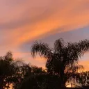 Paradise Cove's icon