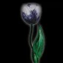 Elrond Tulips NFT
