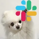Slack
