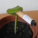 FunOrange Resurrected