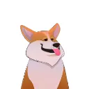 NEAR CORGI GANG