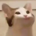 уютный уголок