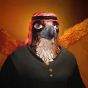 Arabian Falcons