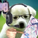 dog eat discord