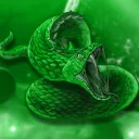 Python's Hang Out's icon