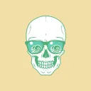 Skull Projection