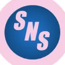 SNS Bricks