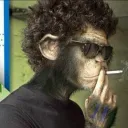 Monkey Crew!