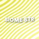 BIOME ROBLOX