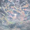 ✨ 𝔗𝔥𝔢 ℭ𝔬𝔪𝔪𝔲𝔫𝔦𝔱𝔢𝔞 𝔏𝔬𝔲𝔫𝔤𝔢✨'s icon