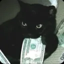 Meow Meow