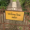 honey's beehive