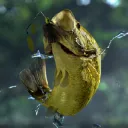 [非公式]Fishing_Planet JPNサーバ