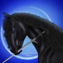 𝐍𝐖𝐀 𝐏𝐮𝐛𝐥𝐢𝐜 𝐁𝐚𝐬𝐞🌑⚔