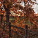 🍂~natures playground~🍁