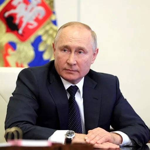 Vladimir Putin — мониторинг Discord сервера, статистика и рейтинг