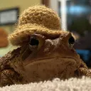Toad's Tadpoles