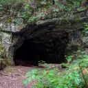 The Hidden Den