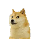 Arbo's server