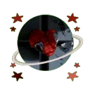 starlight  ┊matching pfps┊soci... Discord Server Icon