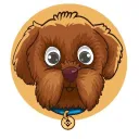 Cavoodle Pup Club