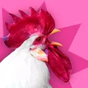 RANDOM GANG. Discord Server Icon