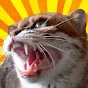 cheesecord