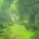 Korok Forest