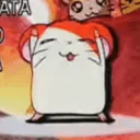 Gacha Heat Love🤭(SECRET)