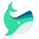 NFTBASE - Tracking Whales