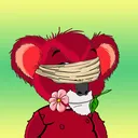 Lofty Koala